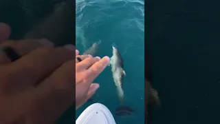 RV life vs Boat Life ? #rvlife #fulltimerv #rvfamily #boatlife #travel #travelfam #boating #sailing