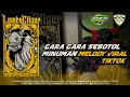 Download Lagu TEMBANG BANTENGAN TERBARU ‼️ LEMBU CLISER ‼️( GARA GARA SEBOTOL MINUMAN X MELODY VIRAL TIKTOK