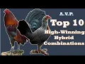 The 10 Most Proven Battle Crosses in Game fowl History