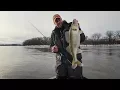 Mississippi River Walleyes - In-Depth Outdoors TV Season 12 Episode 20