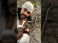 Download Lagu Beraninya Pria Ini Dengan Ular Yang Sangat Berbisa #snake