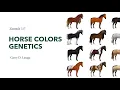 ZOOTECH 227 Horse Color Genetics AY 2022-2023 2
