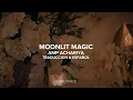 Lagu Moonlit Magic – Amp Achariya | The Next Prince The Series | Subtitulada a Español