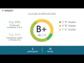 Metasource s CEO and Office Environment - Q1 2019