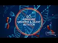 Genetics in 60 seconds Nonsense Missense Silent Mutations