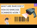 What Are Barcodes How Barcode Scanner Works All About Barcode Scanning LearnyDay
