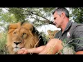 Lagu Herenigd met de LIONS | De Leeuwenfluisteraar
