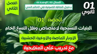 واخيرااا اول درس للفصل الثاني للسنة اولى ثانوي علمي الاوبار الماصة والاوعية الخشبية المنهجية 