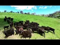 Pinabar Ranch Road Tintaldra