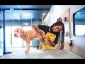 While at Well Groomed Pets McAllen