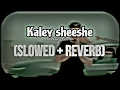 kaley Sheeshe (Slowed + Reverb) || Addy Nagar & Aniket Jain ||
