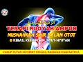 Download Lagu TERAPI RUQYAH SIHIR DALAM OTOT - SEMBUHKAN KESEMUTAN KEBAS BERDENYUT - الرقية الشرعية
