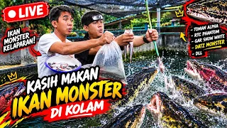 LIVE! KASIH MAKAN SEMUA IKAN MONSTER GANAS BERSAMA ADE NAGO DI KOLAM