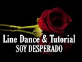 Download Lagu SOY DESPERADO - Line Dance (Dance \u0026 Tutorial)