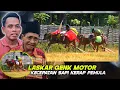 Download Lagu Ternyata disinilah sapi sapi kerapan berkelas tercipta dari sang perawat Konah