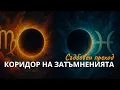 Download Lagu Коридорът на затъмненията: Риби – Дева (Септември 2025) | съдбовен преход и ново начало