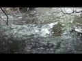 Flowing water of giggling brook make you crazy with pee delight