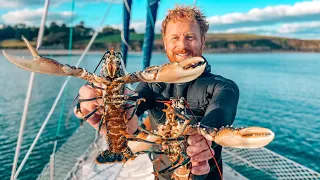 Coastal Foraging – Hand Caught Wild Lobster 🦞🦞  [Ep17 S4]
