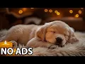 12 Hours Dog Sleep Music Dog Relaxation Music - Dog Gentle Soundscape For Peaceful Rest