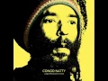 Congo Natty - Revolution In Dub (DJ Madd Remix)