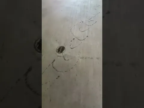 This was supposed to be a video to my fiancée