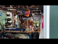The Lost Art of Shoemaking
