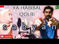 Lagu #yahabibal#qolbi YA HABIBAL QOLBI ( PK Punjab Reaction )