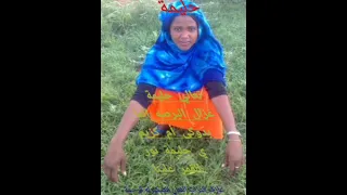 عازف تراث الربابه الفنان أدم محمد تجانى الملقب بالقنج 