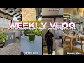 Download Lagu WEEKLY VLOG|10K SUBBIES|SJAVA CONCERT|NEW COLOGNE|SEVEN VILLA HOTEL AND MORE|SOUTH AFRICAN YOUTUBER