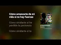 El Final De Nuestra Historia - La Arrolladora Banda El Limón De René Camacho (LETRA)
