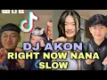 Download Lagu DJ AKON RIGHT NOW NA NA SLOW TIKTOK🔥