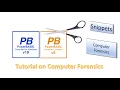 PowerBasic Snippets - Tutorial on basic computer forensics