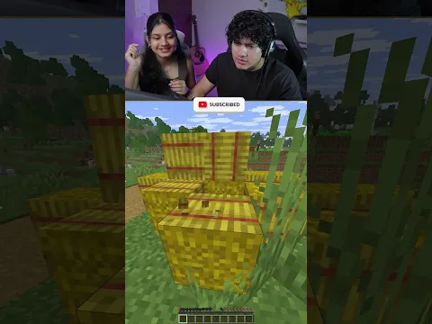 Minecraft, But Any block my sister say get removed.. #shorts #minecraft