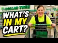 LOW-INCOME SHOPPING MONTHLY DOLLAR TREE SPLURGE