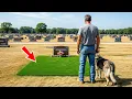 Download Lagu Veteraan zag iets vreemds bij graf van dochter — Hond bracht hem tot tranen