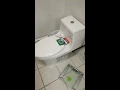 Two Easy Fixes for Glacier Bay Dual Flush Toilets - 1 Constant Running 2 Flush-button corrosion