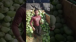 شب چله امسال هندوانه سوپر 