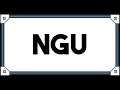 NGU The Final
