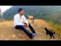 Download Lagu New nepali music video pagal ma banna sakxu