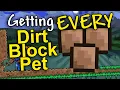 How fast can I find EVERY dirt block pet in one world