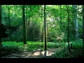 Download Lagu QURAN SURAH AL Gashiya (chapter 88) by sheikh sudais