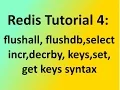 Redis Tutorial 4 flushall flus b keys incr decrby select database syntax with example