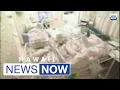 HNN News Brief June 8 2023