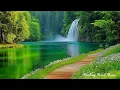 Download Lagu Peaceful Relaxing Music 🌿 Healing Nature Sounds, Gentle Piano Stress Relief, Stop Overthinking