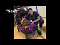 Tigger Getting his Vaccination 2019