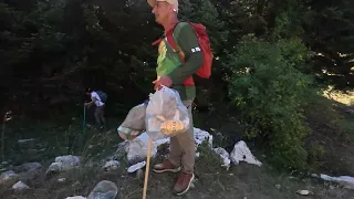                                                                                   دندنها
