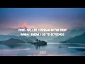 Alan Walker & Trevor Daniel - Extremes (Lyrics)