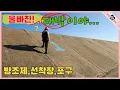 Download Lagu 한 명도 없는 해루질 포인트에서 이것저것 바쁘다!