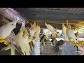 MY NATURAL AVIARY OF COCKATIEL BIRDS Secret to A Successful Cockatiel bird Breeding