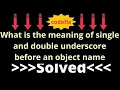 What is the meaning of single and double underscore before an object name